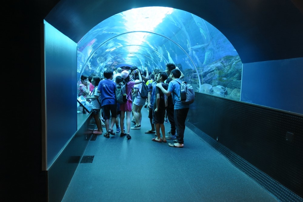 Excursion-Aquarium