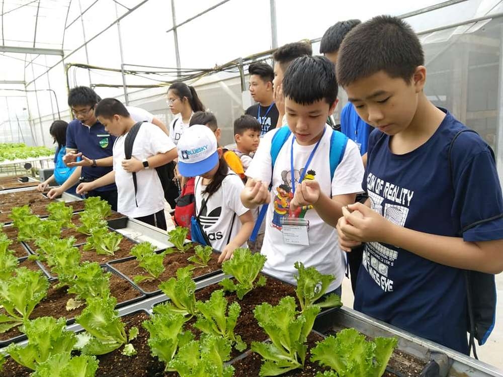 Hi-Tech-Farm