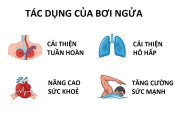 Lợi ích to lớn mang lại của bơi ngửa (Ảnh: Sưu tầm internet)