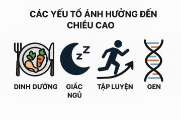 Các yếu tố ảnh hưởng đến chiều cao (Ảnh: Sưu tầm internet)