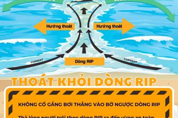 Những lưu ý quan trọng khi gặp phải dòng RIP (Ảnh: Sưu tầm internet)